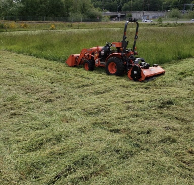 Brush mowing an overgrown pasture with a flail mower