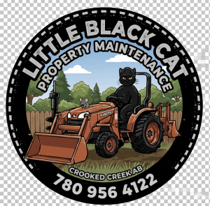 Little Black Cat Property Maintenance logo